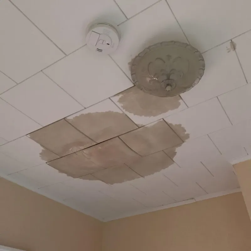 Ceiling Water Damage Repair in La Porte, IN