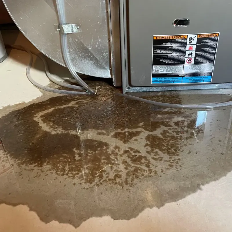 Pipe Burst and Leak Restoration in La Porte, IN